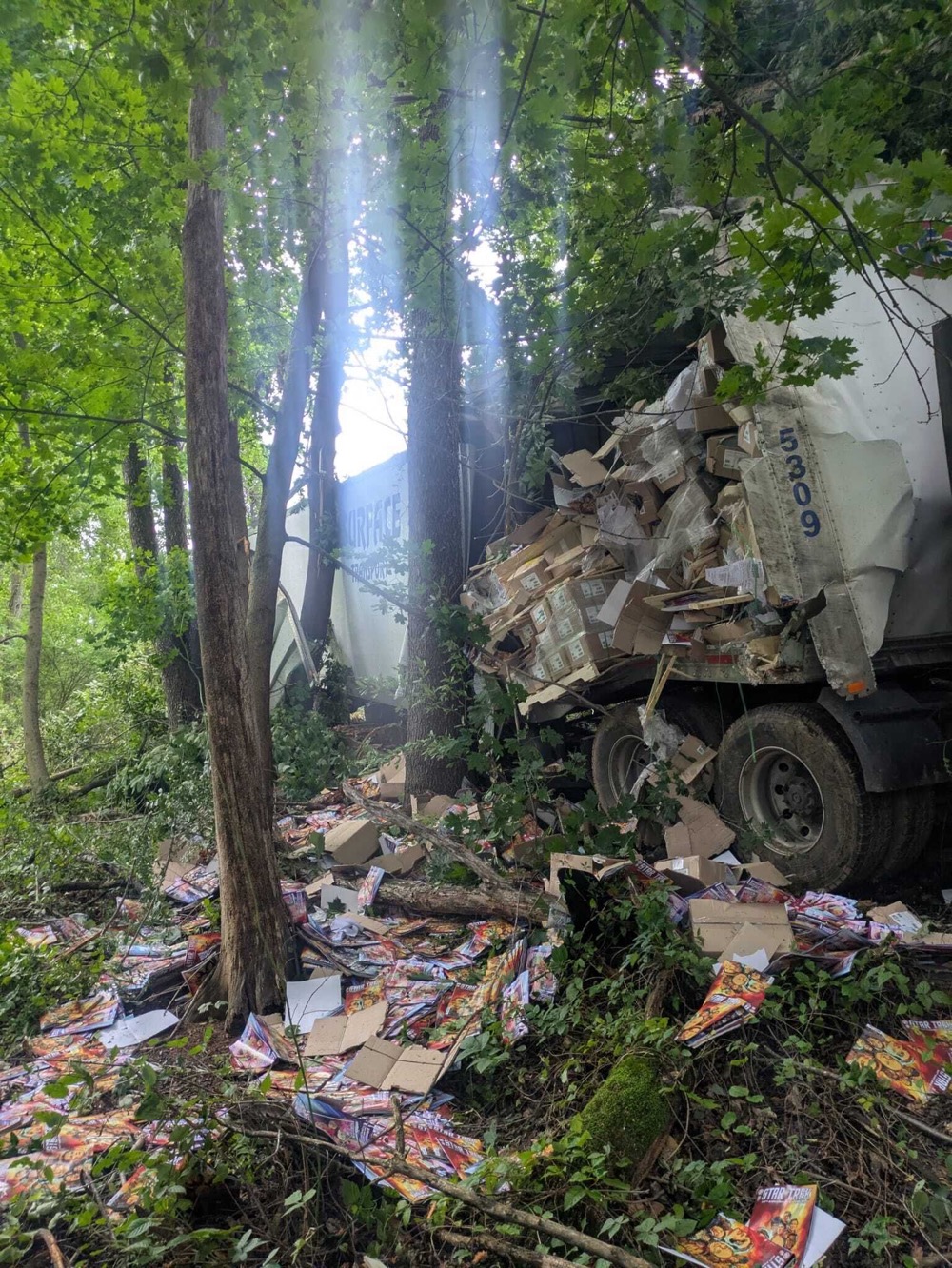 IDW comics forest truck crash IDW truck crashes in the forest, spewing comics